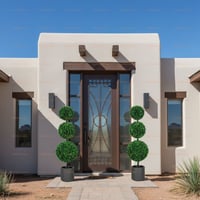 Art Deco Glass Panel Door for Texas Home