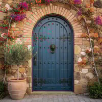 Arched Teal Door With Wrought Iron Hinges and Bougainvillea Vines