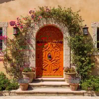 Ornate Arched Wood Door With Lion Knocker and Bougainvillea Vines