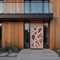 Geometric Peach Front Door With Black Trim and Desert Landscape