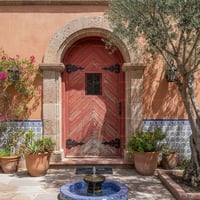Arched Red Chevron Wood Door With Iron Hardware in Stone Archway