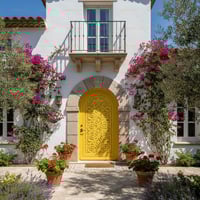 Arched Yellow Door With Laser Cut Floral Design and Stone Frame