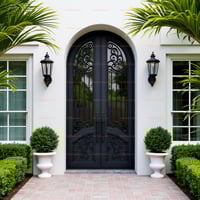 Arched Black Wrought Iron Double Front Door With Glass and Ornate Ironwork
